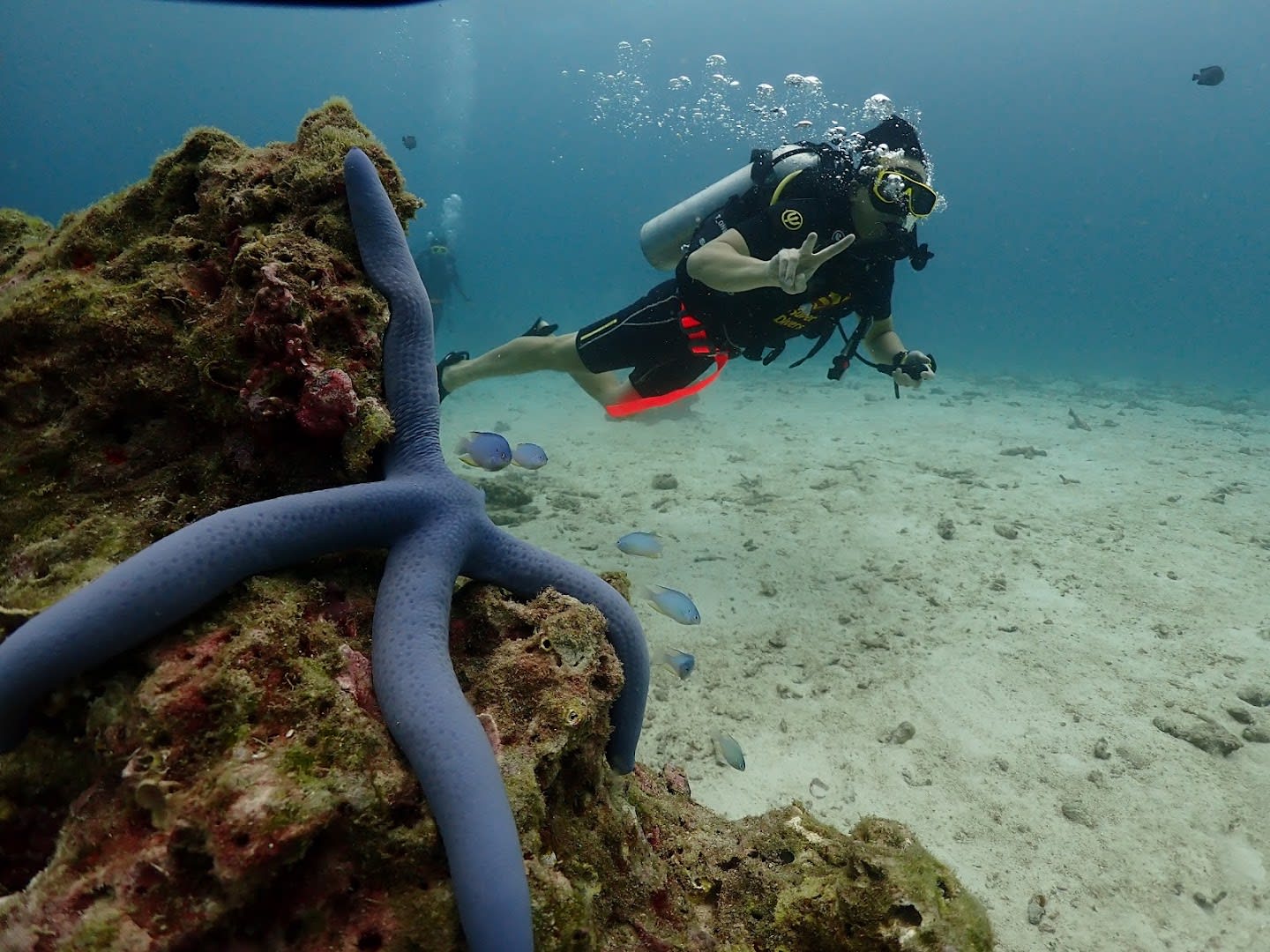 Super Divers Phuket photo 2