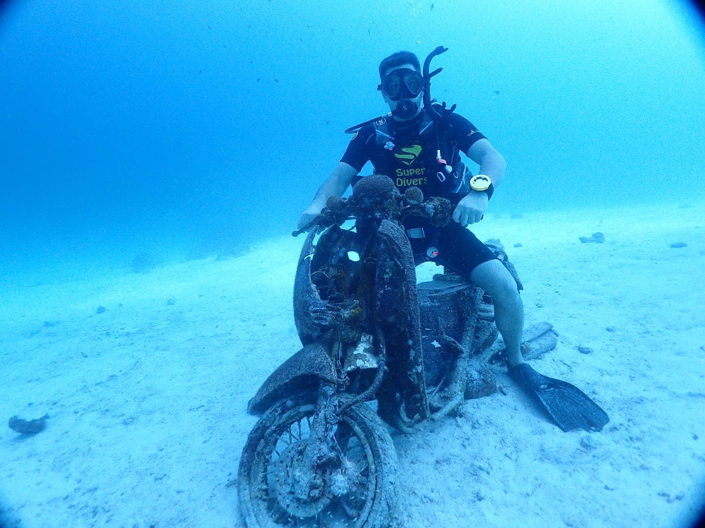 Super Divers Phuket photo 4