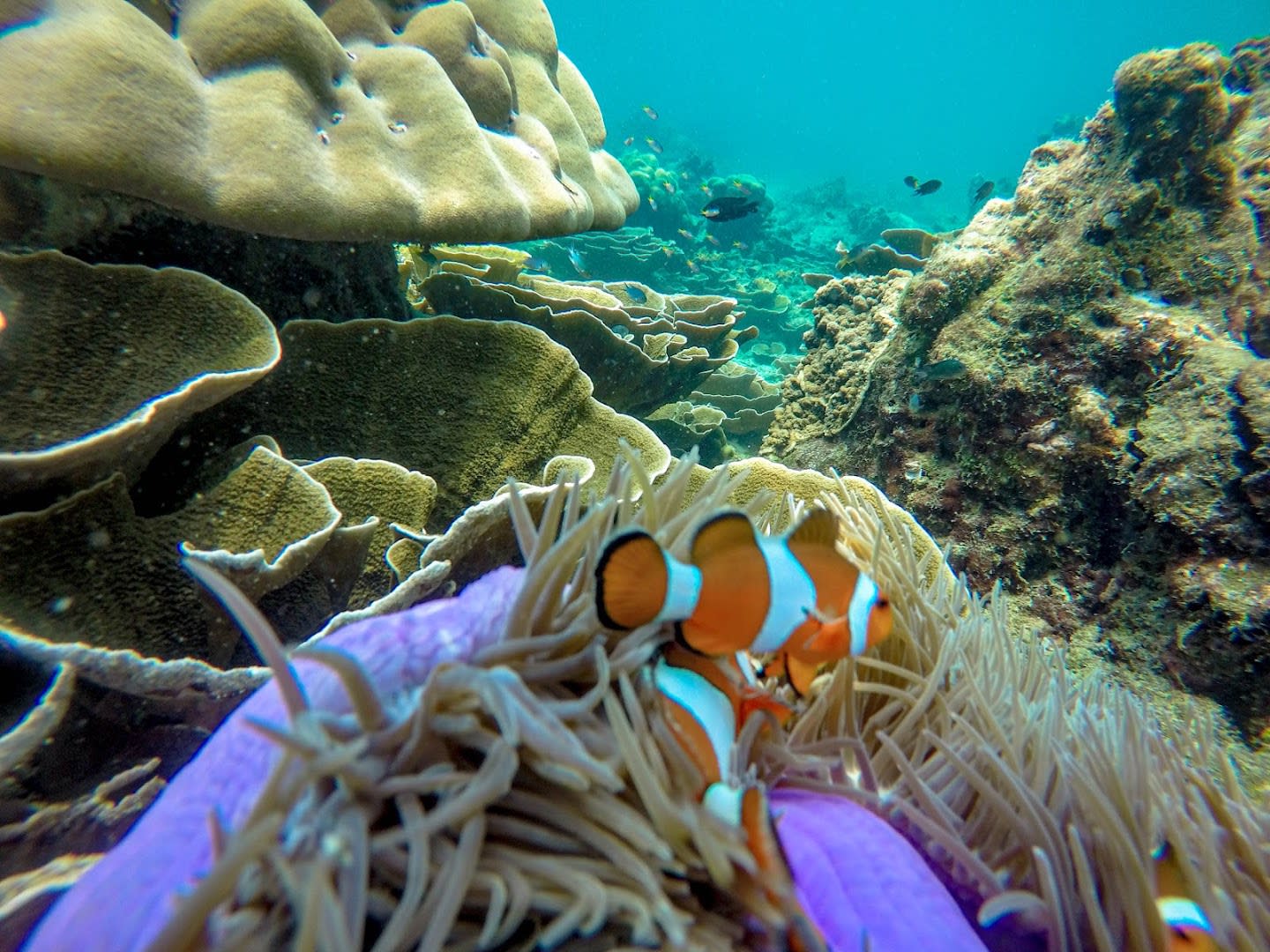 V. Marine Tour photo 3