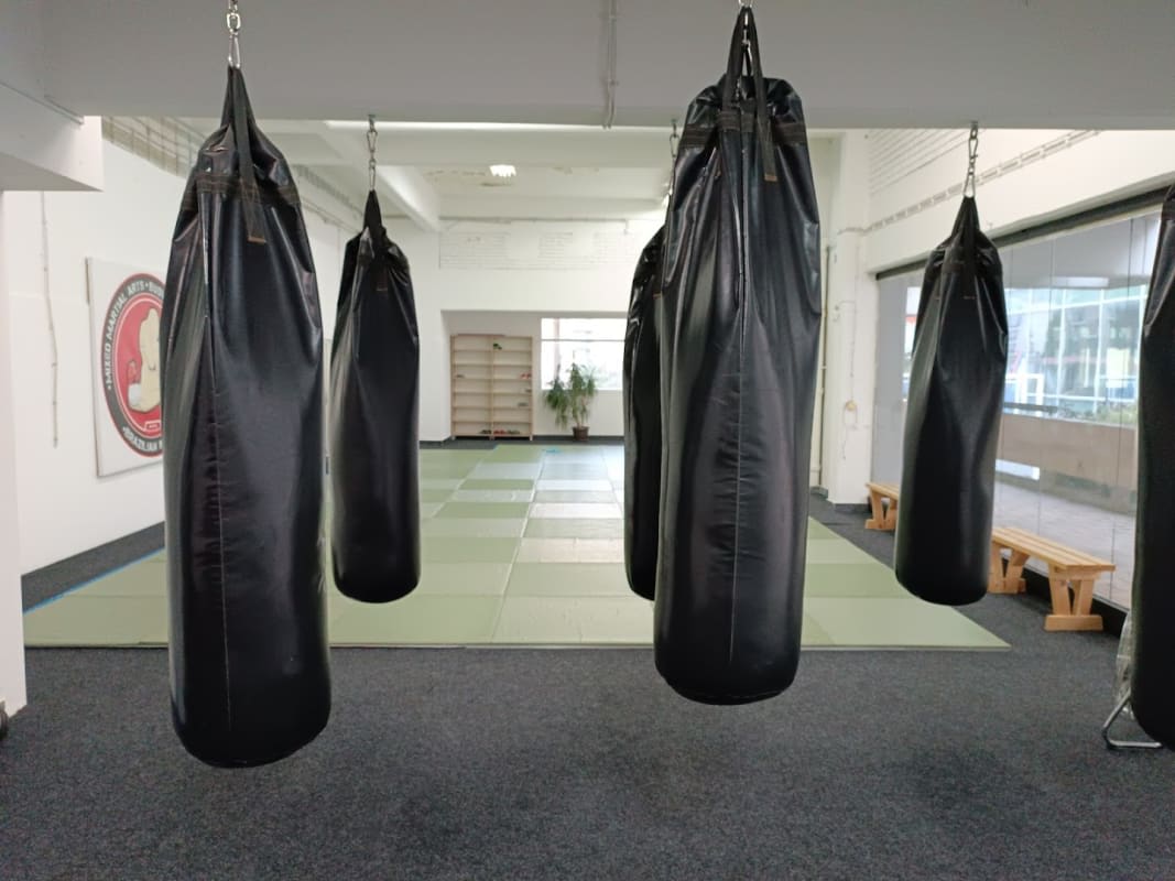 MMA Club photo 2