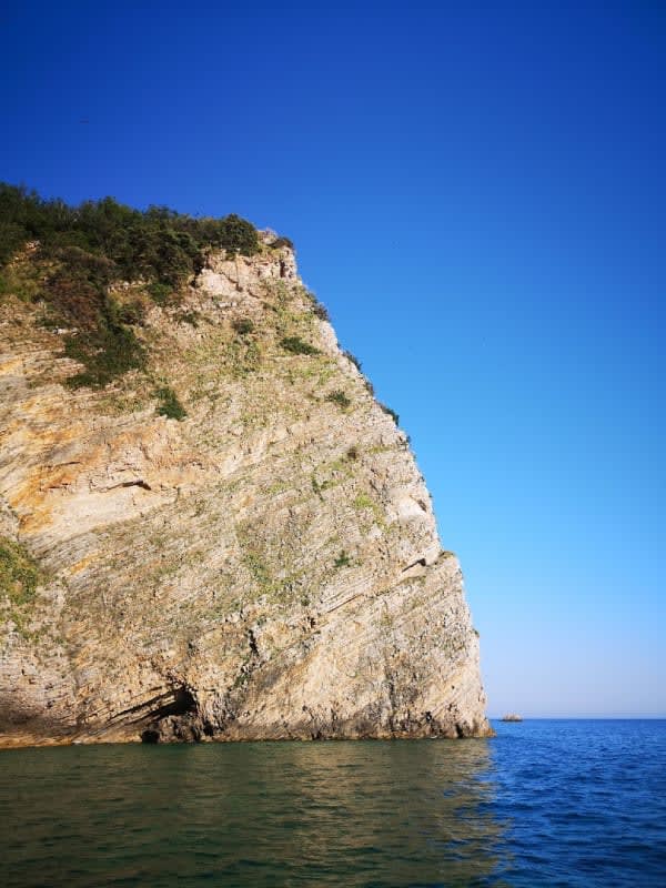 Mozart Boat photo 2