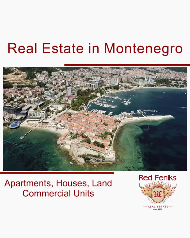 Red Feniks Montenegro photo 1