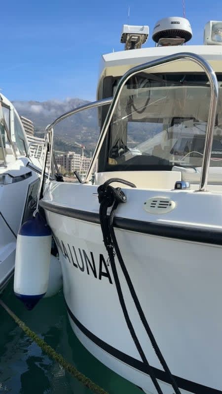 SoMax Fishing photo 1