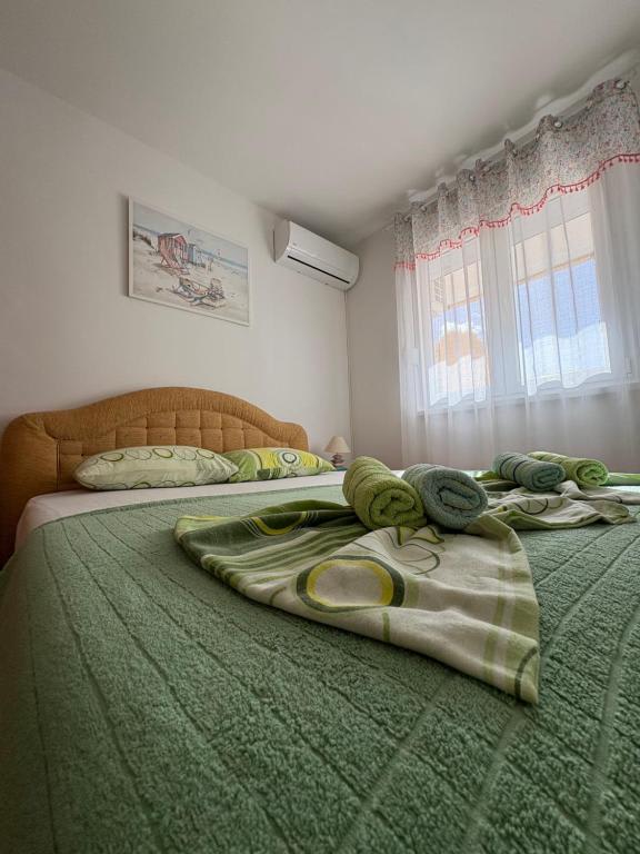 Apartman Topla photo 6