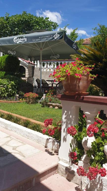 Milović Apartmani photo 5