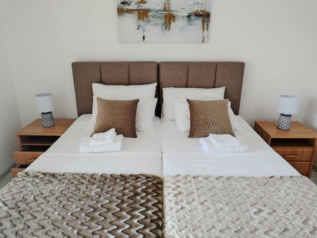 Topla Apartman photo 2