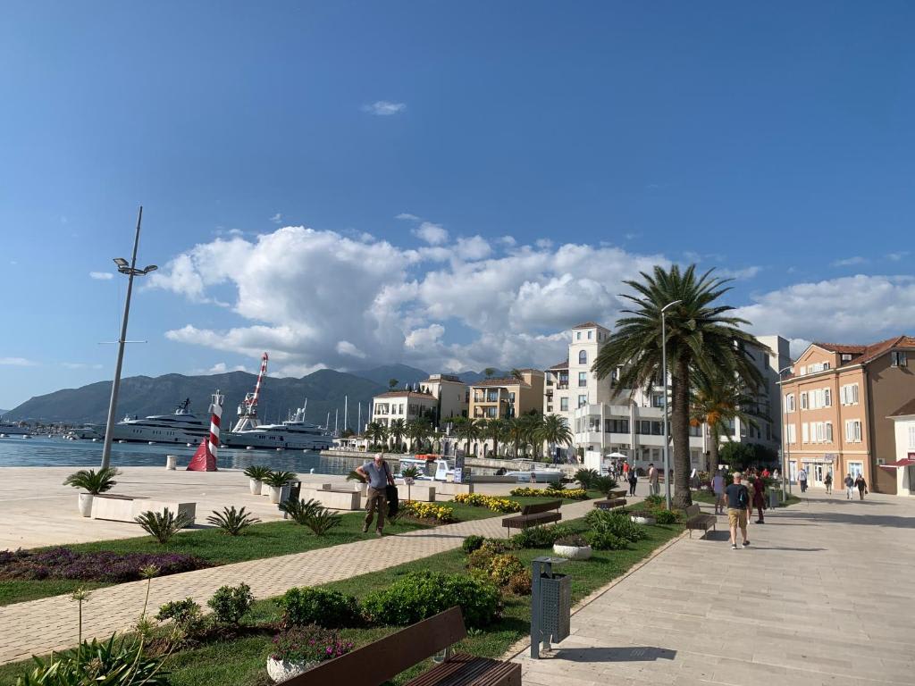 Topla Apartman photo 3