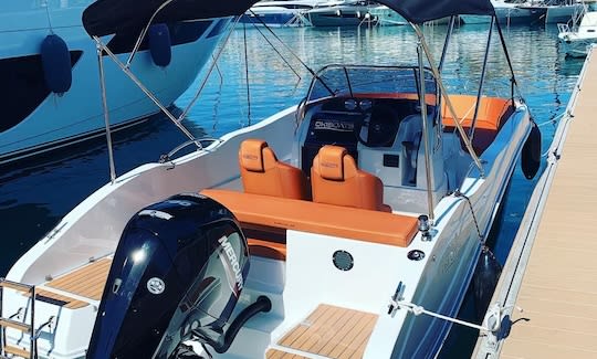Bay Speedboat Tours photo 2
