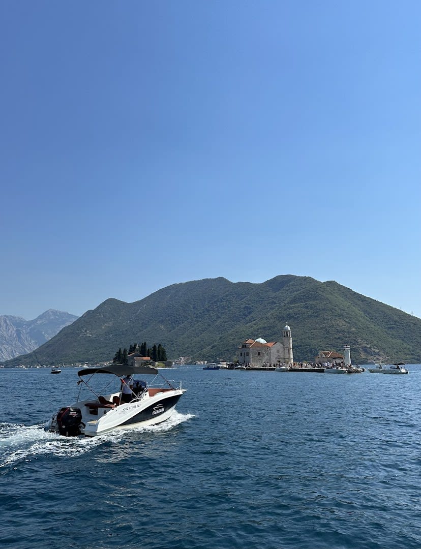 Bay Speedboat Tours photo 3