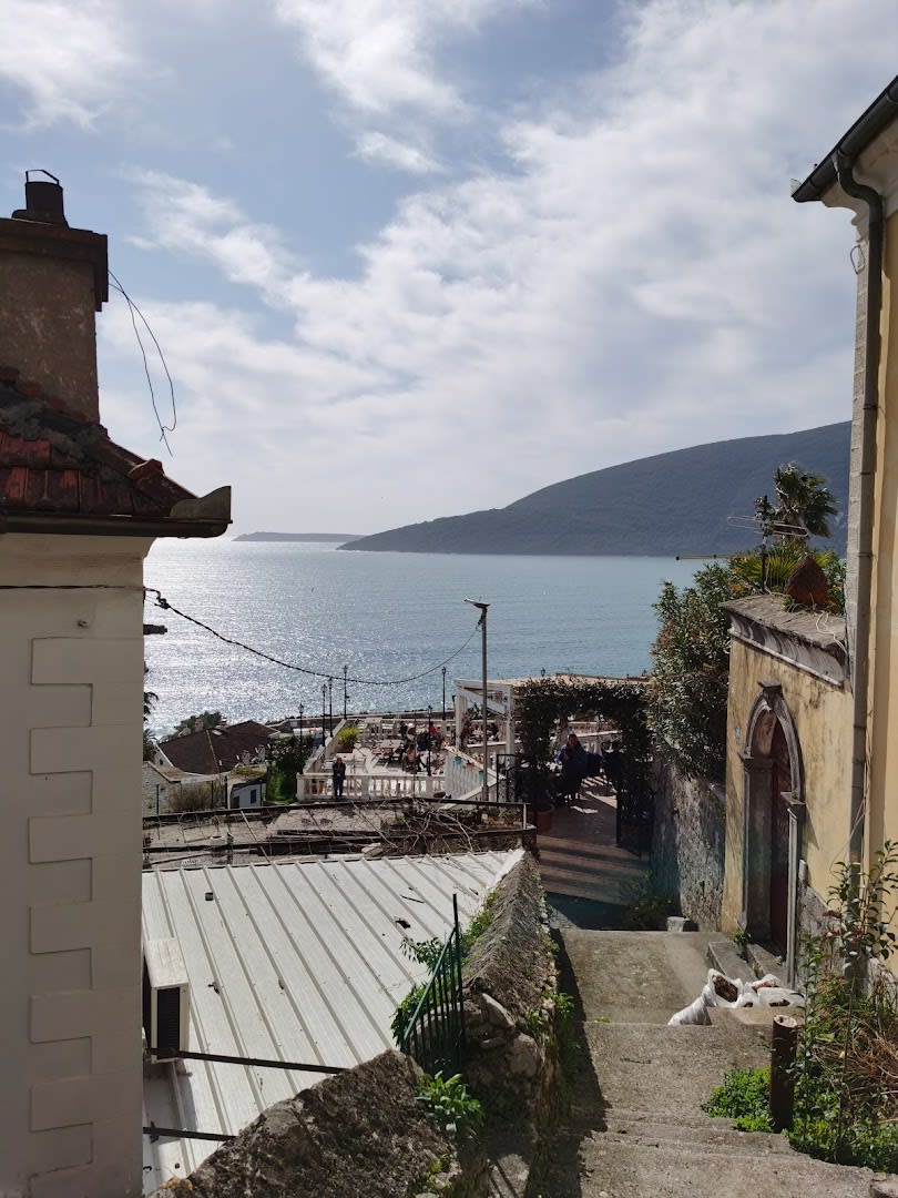 Turistička organizacija Herceg Novi photo 2