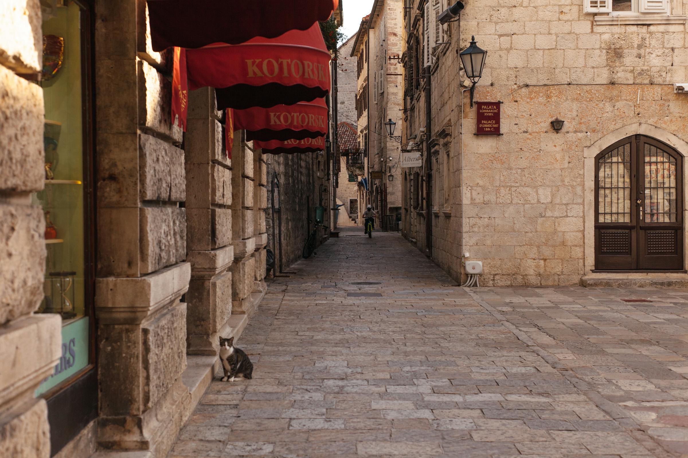 Old Town Steps & Coffee