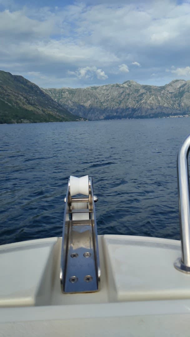 Aquaholic Speedboat Tours photo 8