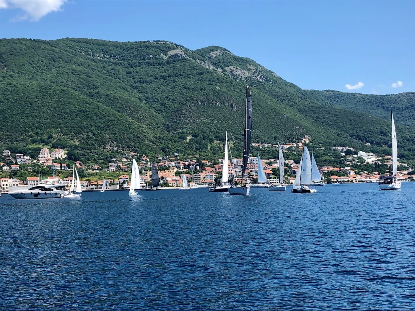 Captain Ivan Kotor Boat Tours photo 5
