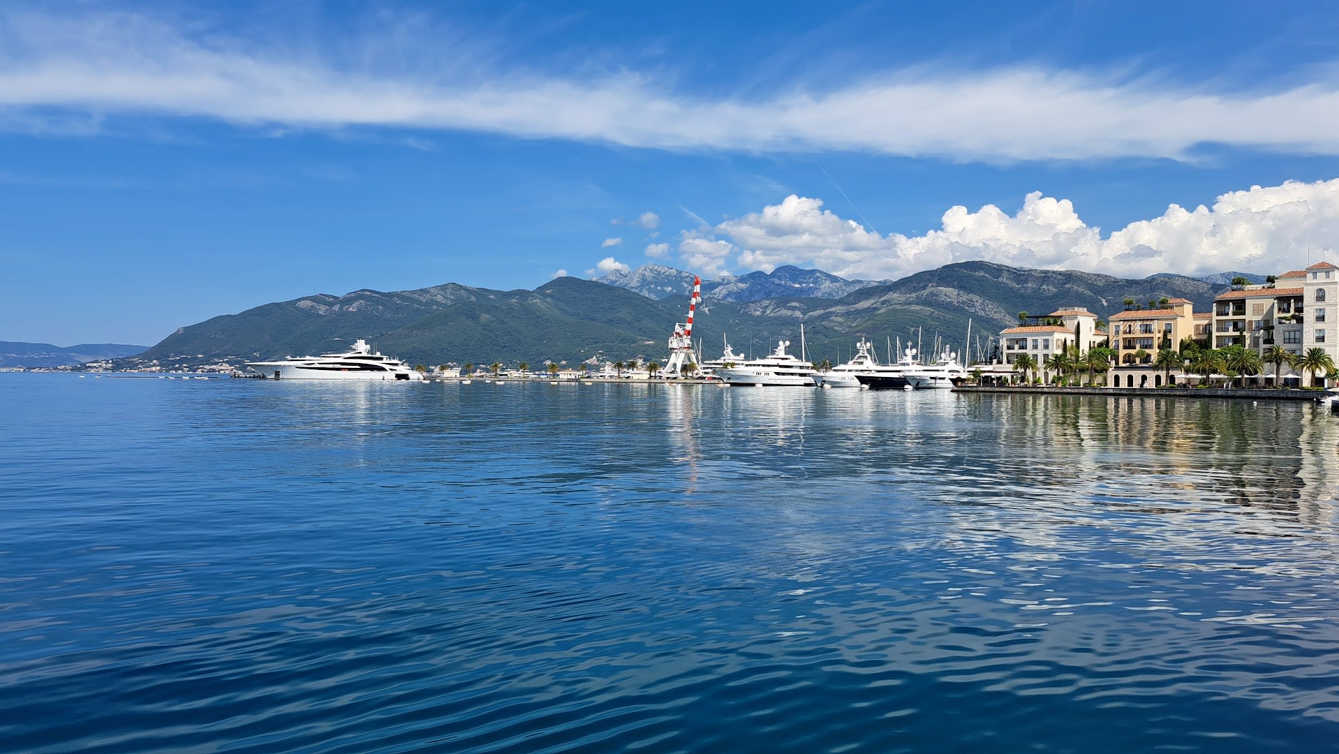 Knez Lipovac Boka Bay Boat Tour photo 10