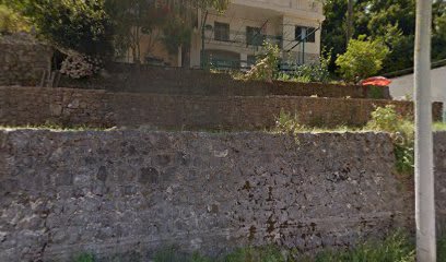 Magnolia Adriatic photo 1