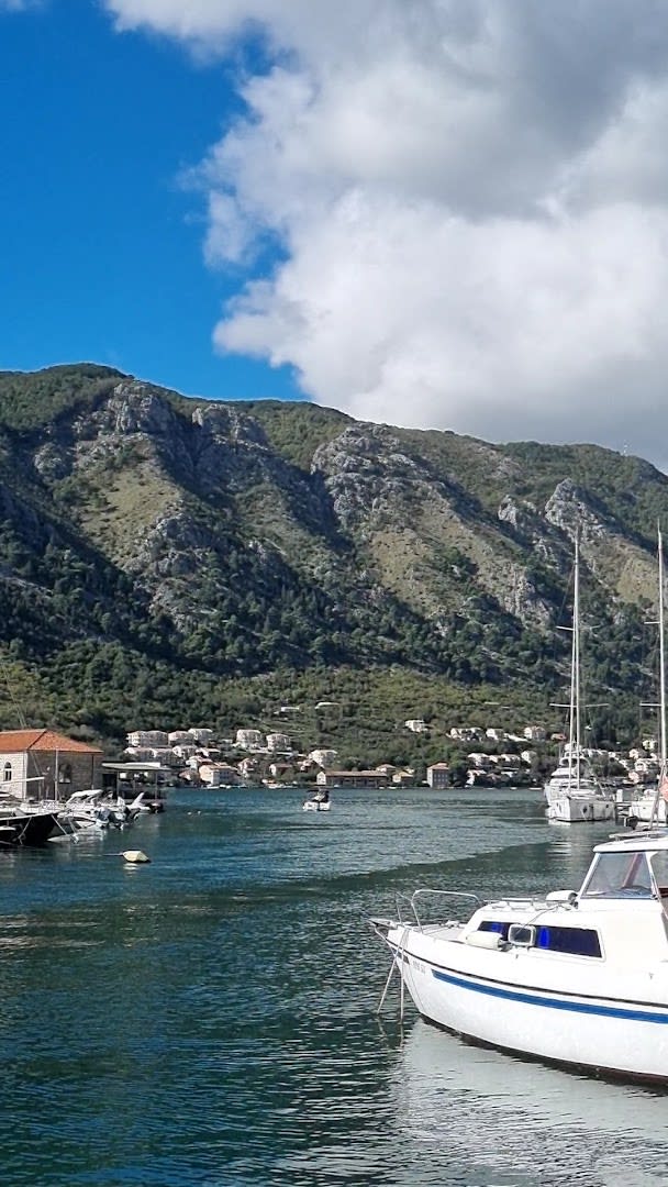 Kotor Bay Tours photo 8