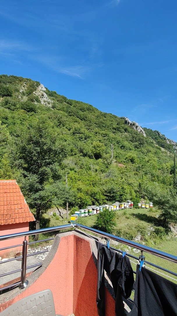 Milas Trojica Kotor photo 6