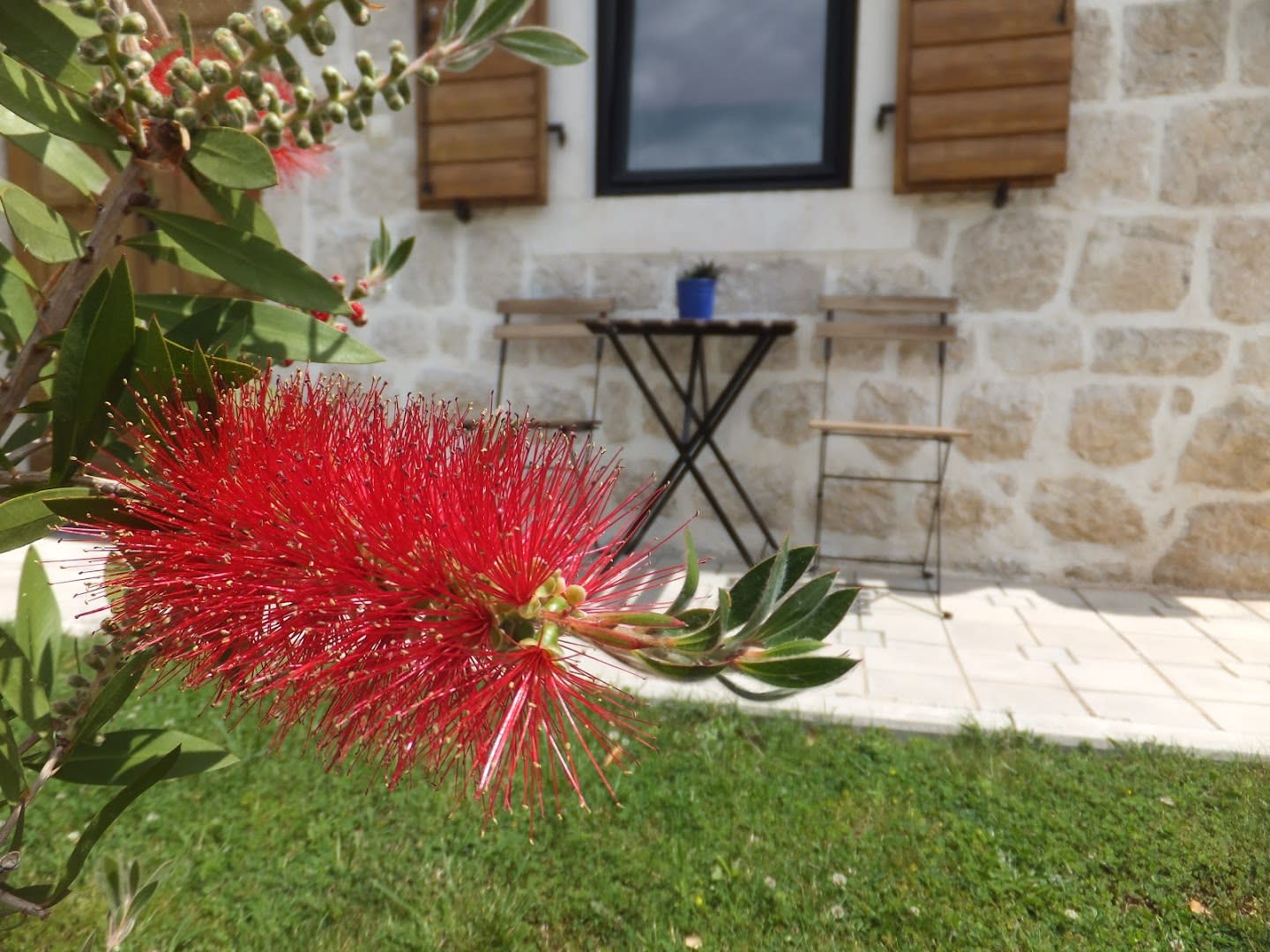 Janko's Home photo 3