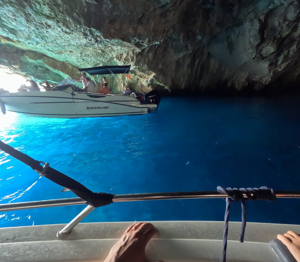 Sea Dog Boat Tours photo 7