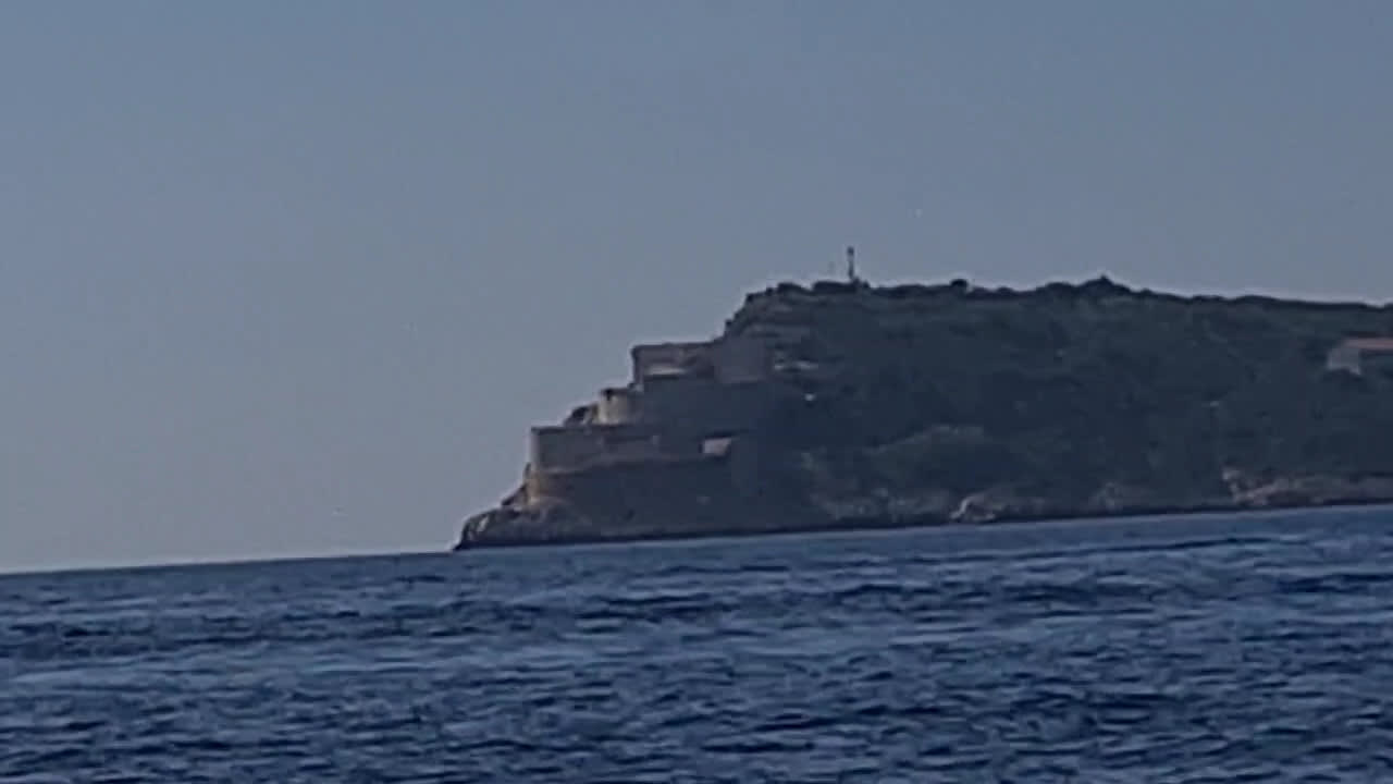 SeaSpark Tours photo 2