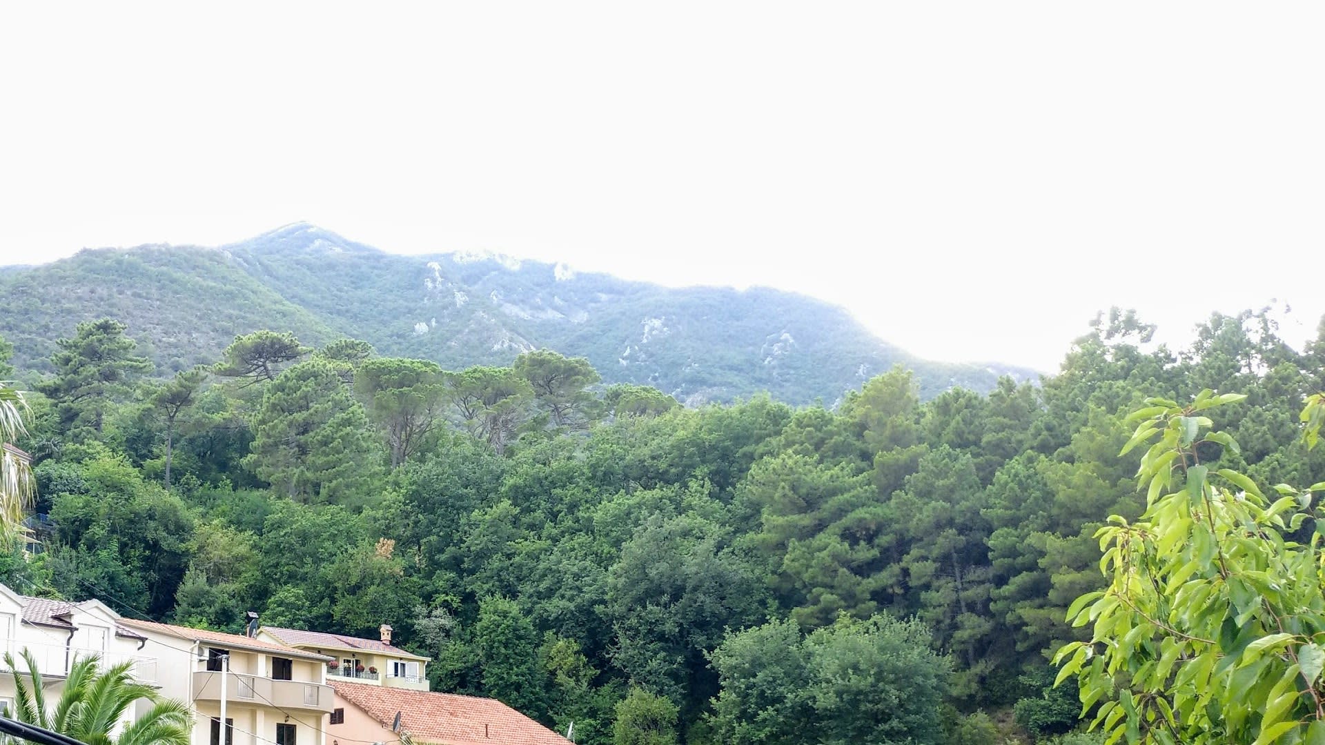 Villa Bucanero photo 3