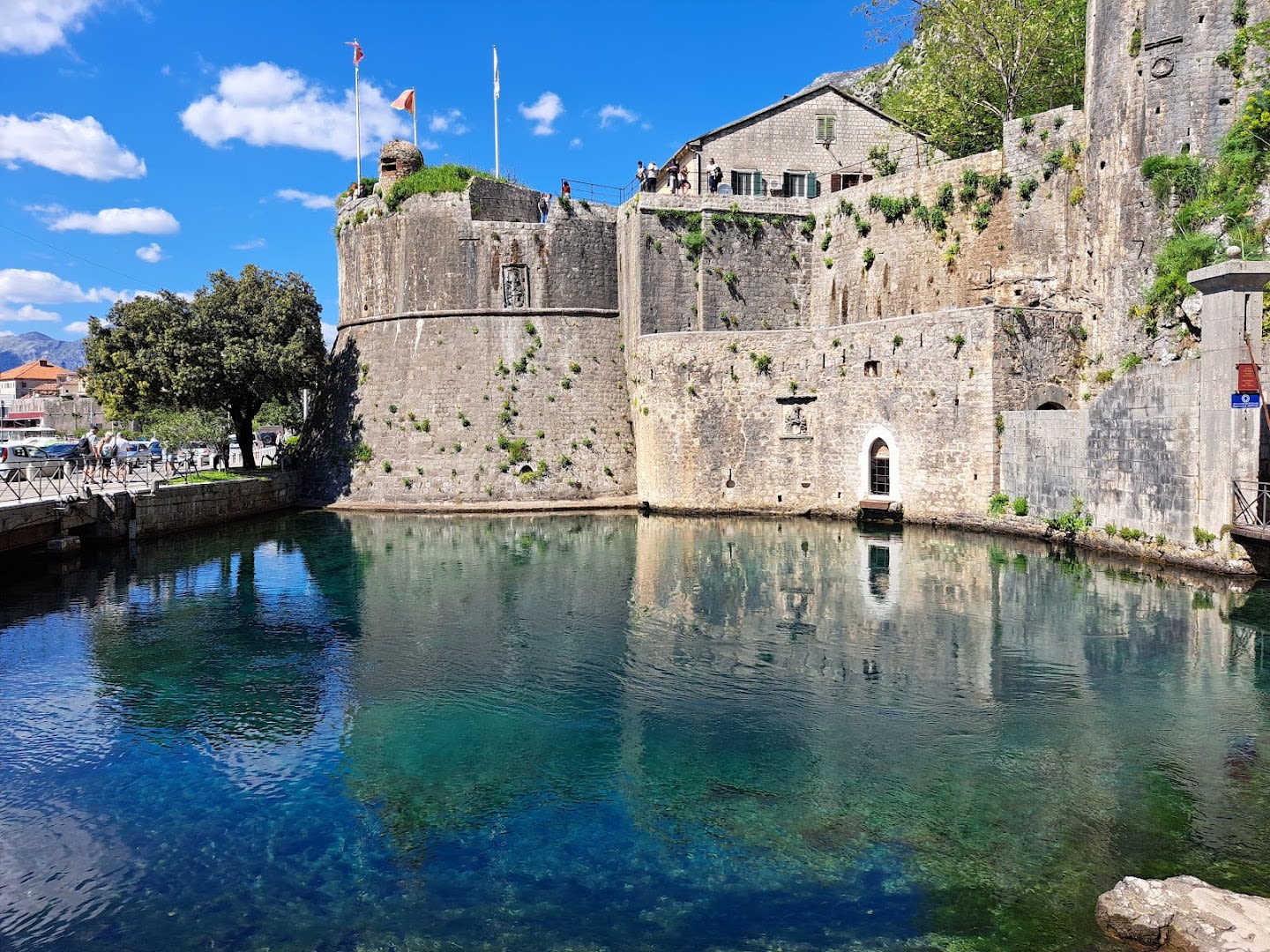 Montenegro Private Tours photo 5