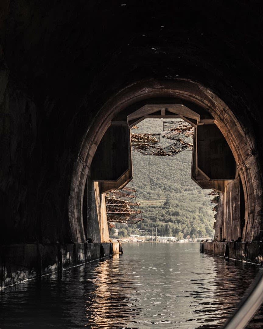 MSD Adriatic photo 2