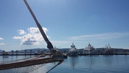 Tours by Tiho & Sons