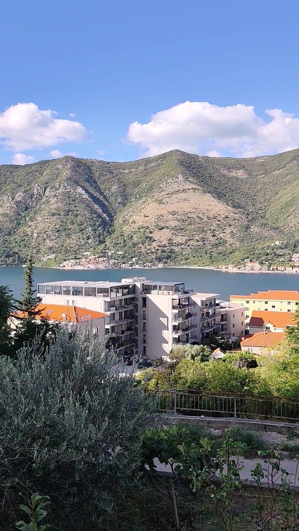 Apartment Jelena photo 6