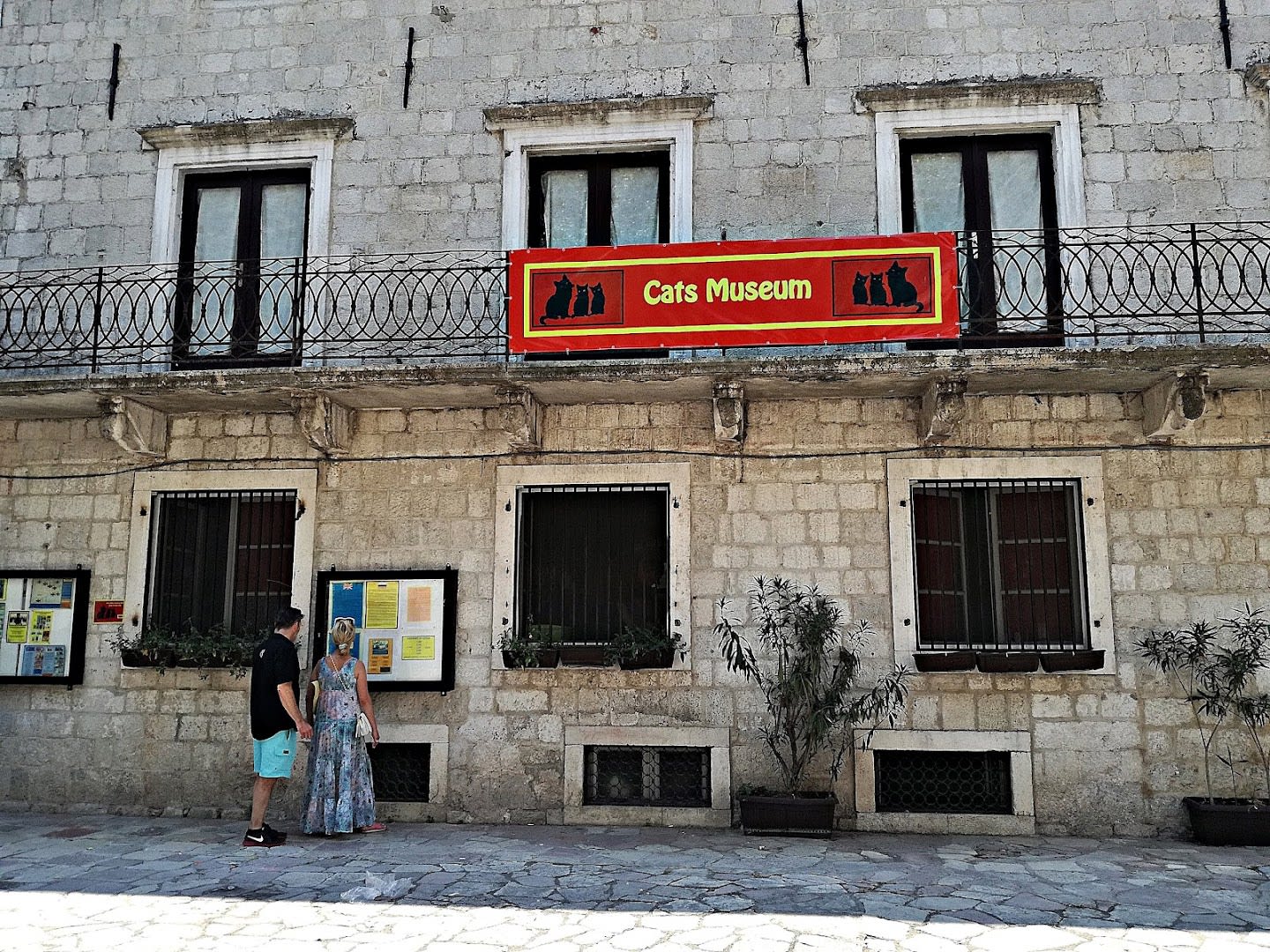 Kotor Cats Museum photo 5