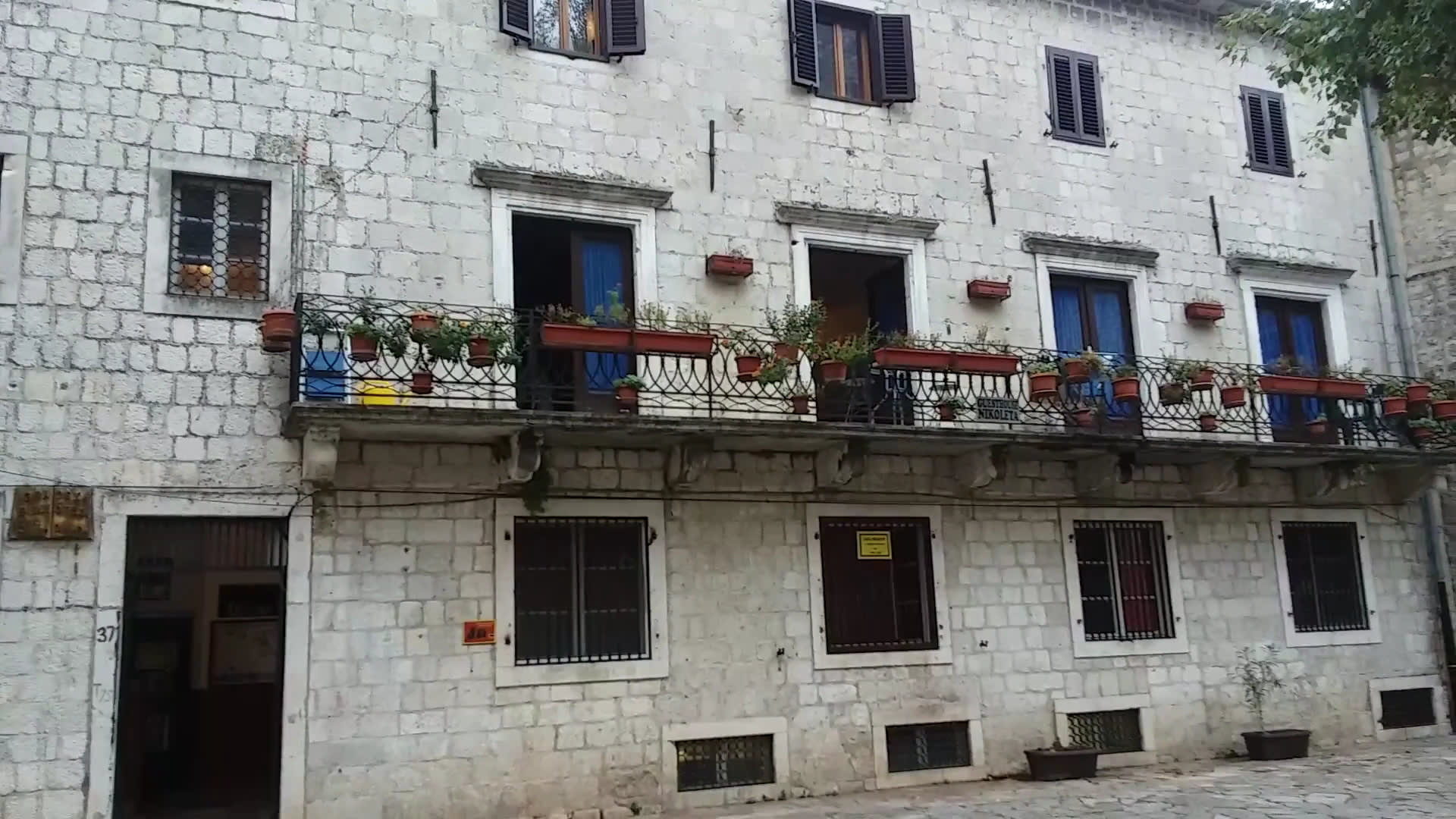 Kotor Cats Museum photo 6