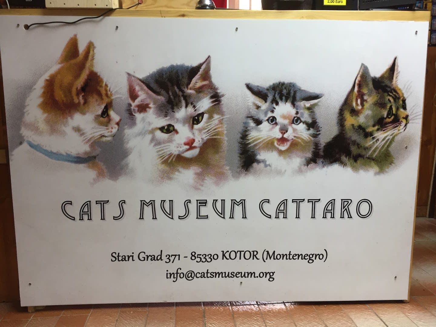 Kotor Cats Museum photo 7