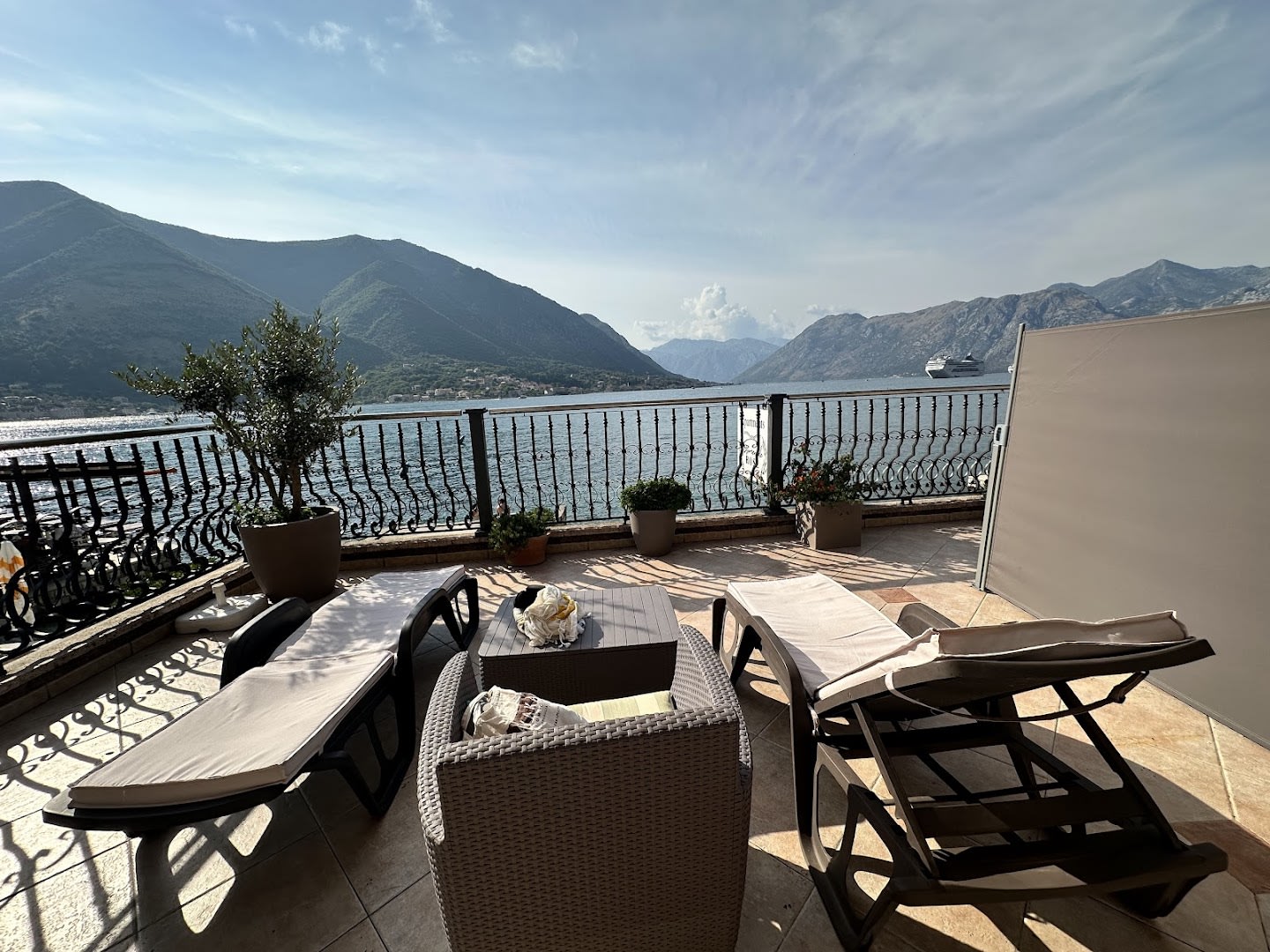 Promenade Rose photo 4