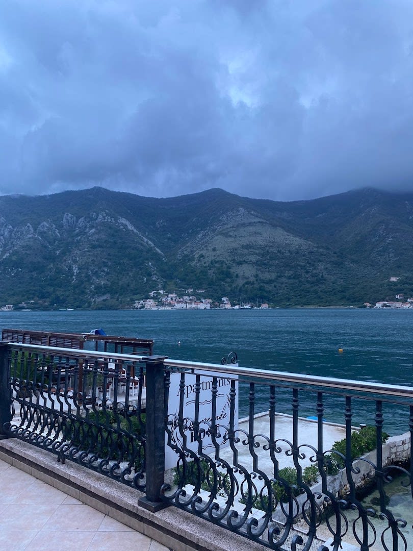 Promenade Rose photo 7