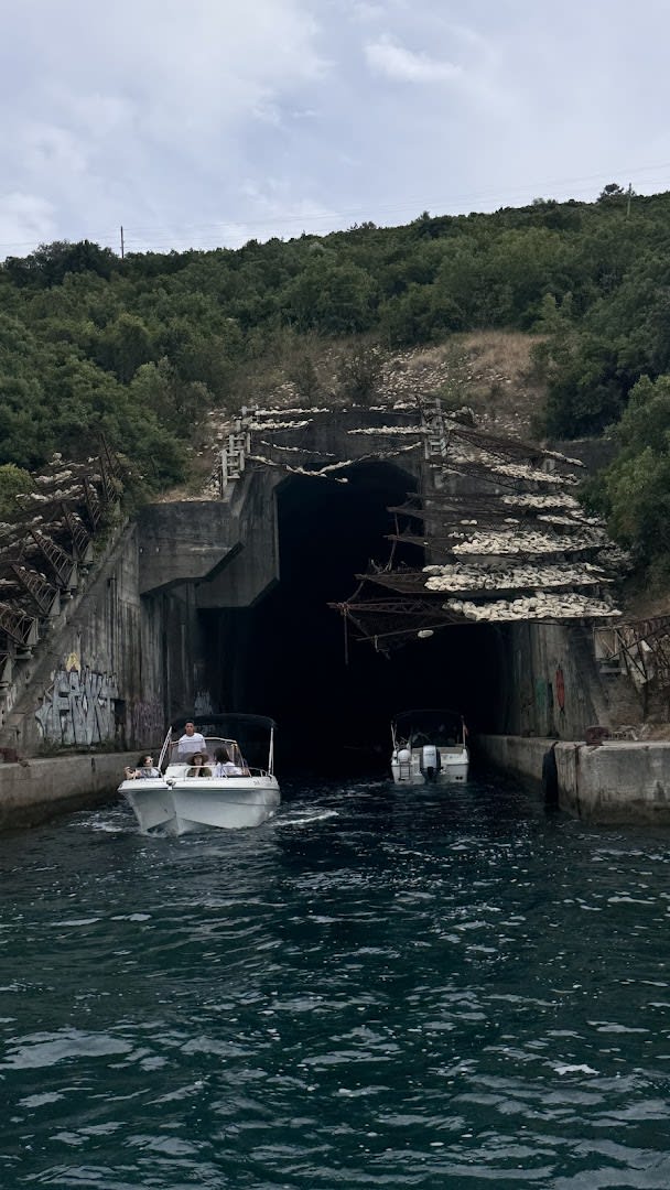 Speed Boat Tours Good Hope Tours photo 8