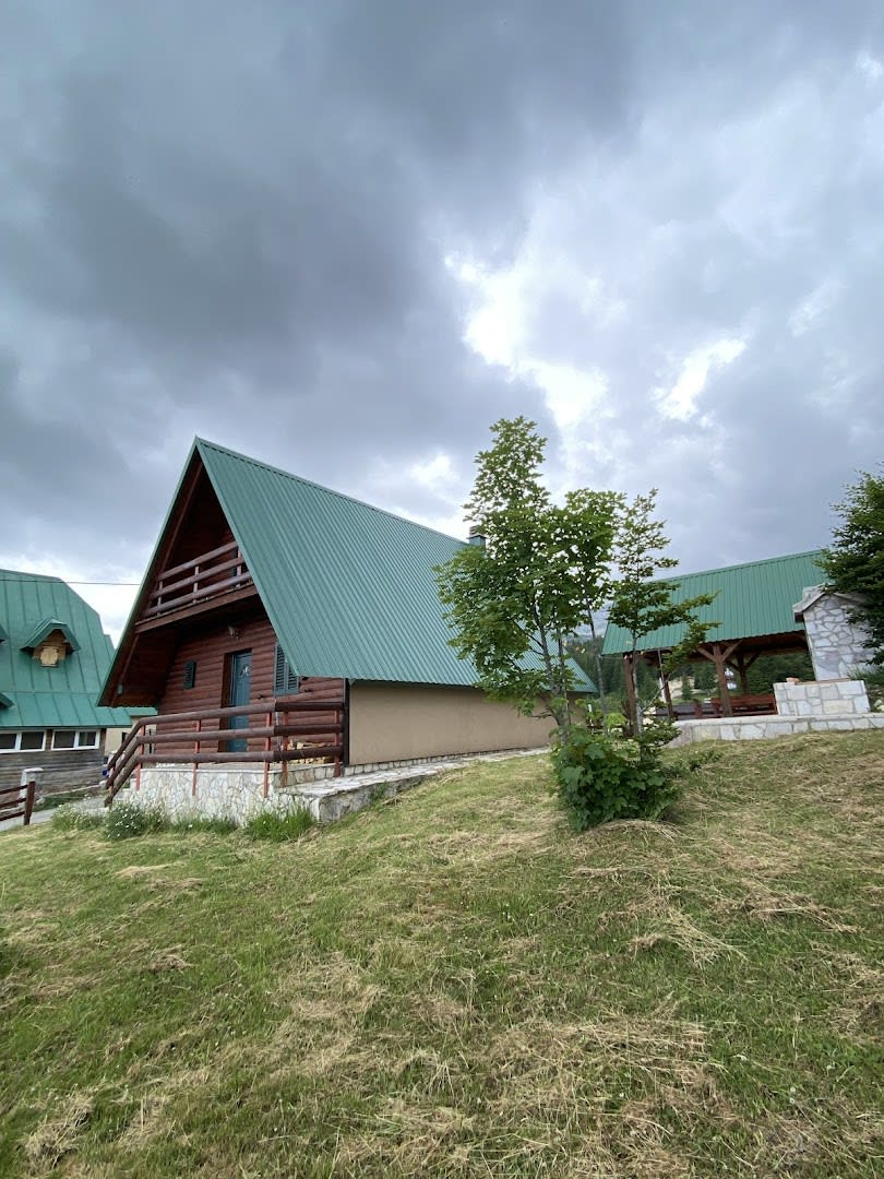 MNE Transfer photo 5