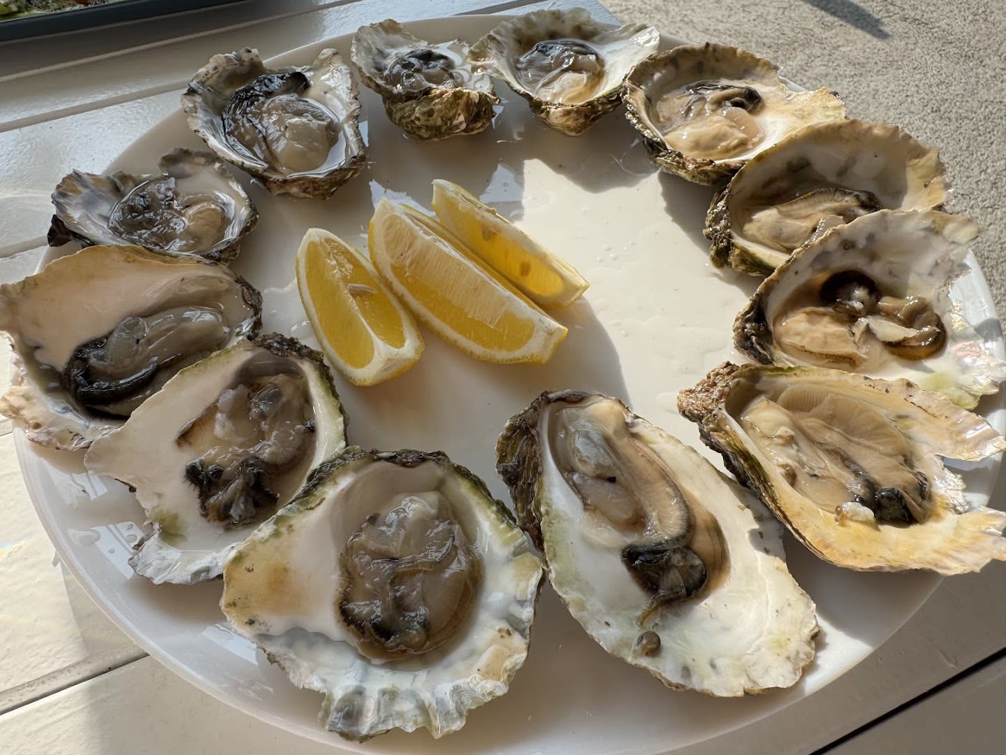 Mussles and oysters farm with restaurant @bokaseafood photo 2