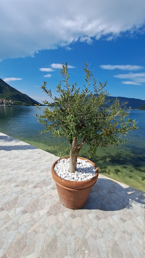 Ponta Čučković photo 3