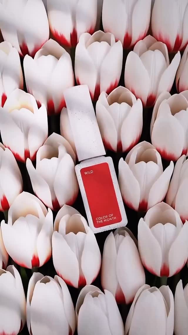 Coco Beauty Corner photo 7