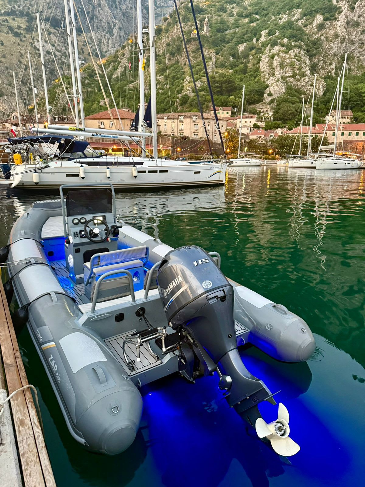 Eagle private boat tours Kotor photo 3