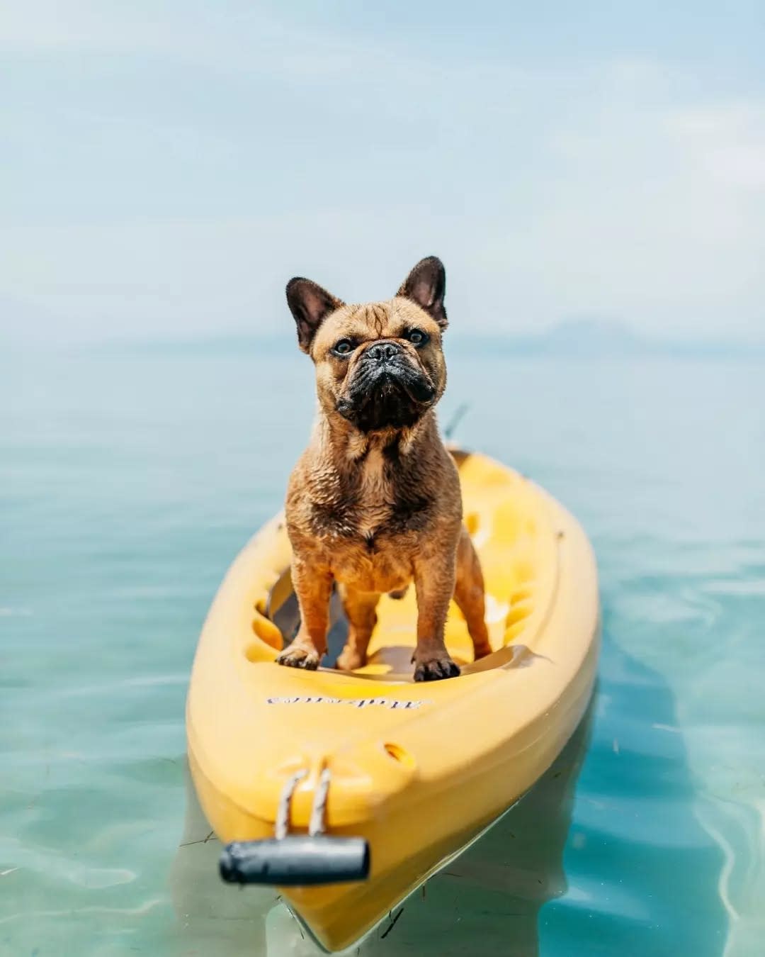 Kotor Paddleboard Rental photo 5