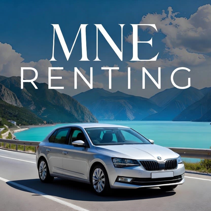 MNE Rentals photo 5