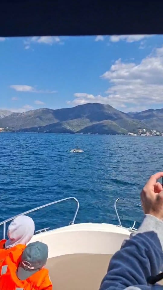 MontenegroWavesSpeedboat Tour photo 5