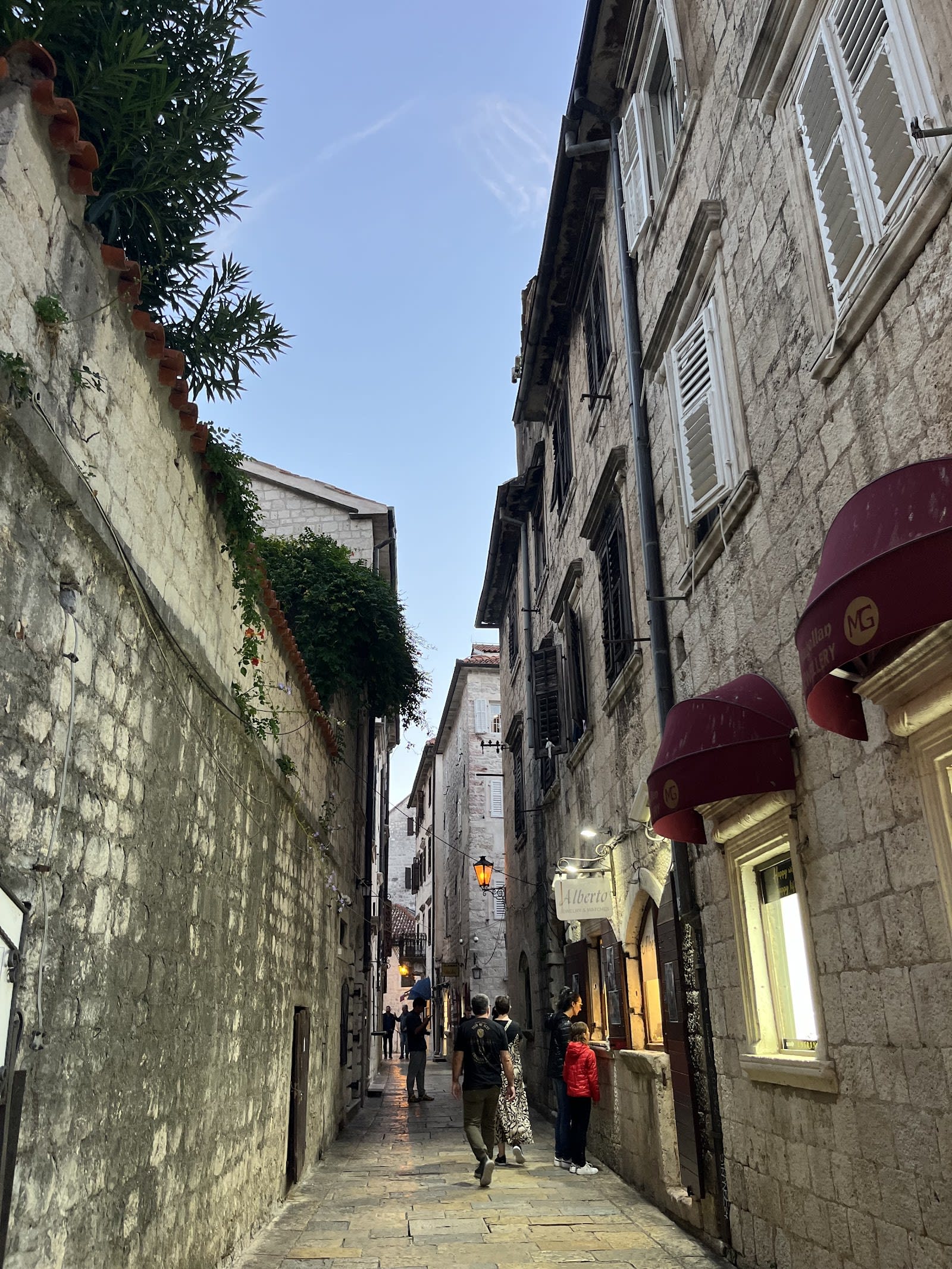 Luxury Kotor photo 1