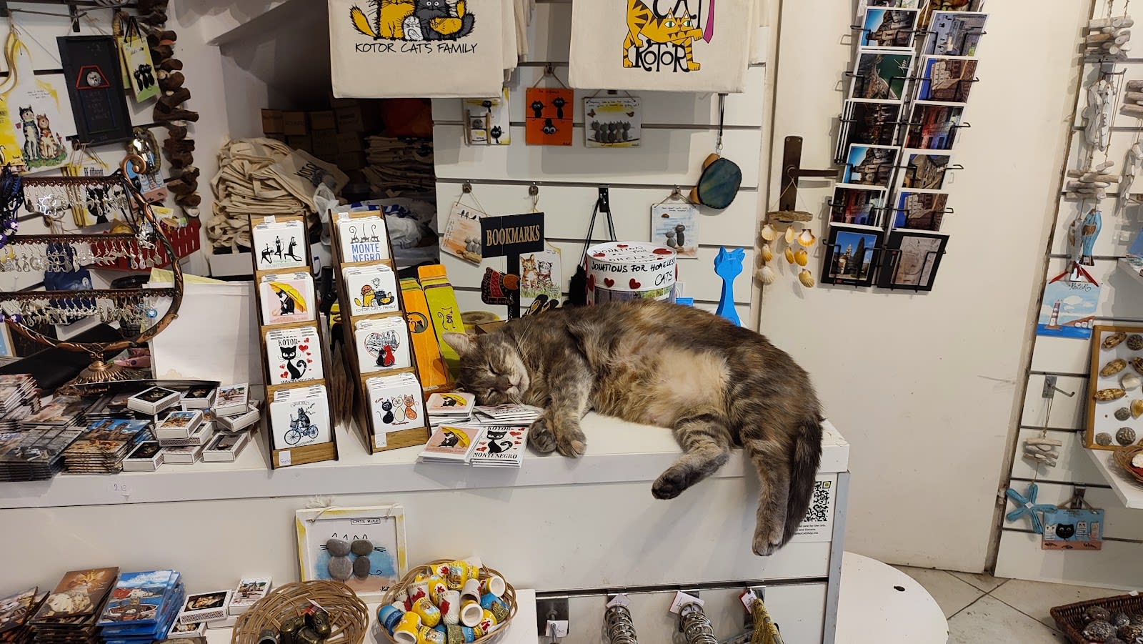 Danijela’s Shop photo 2