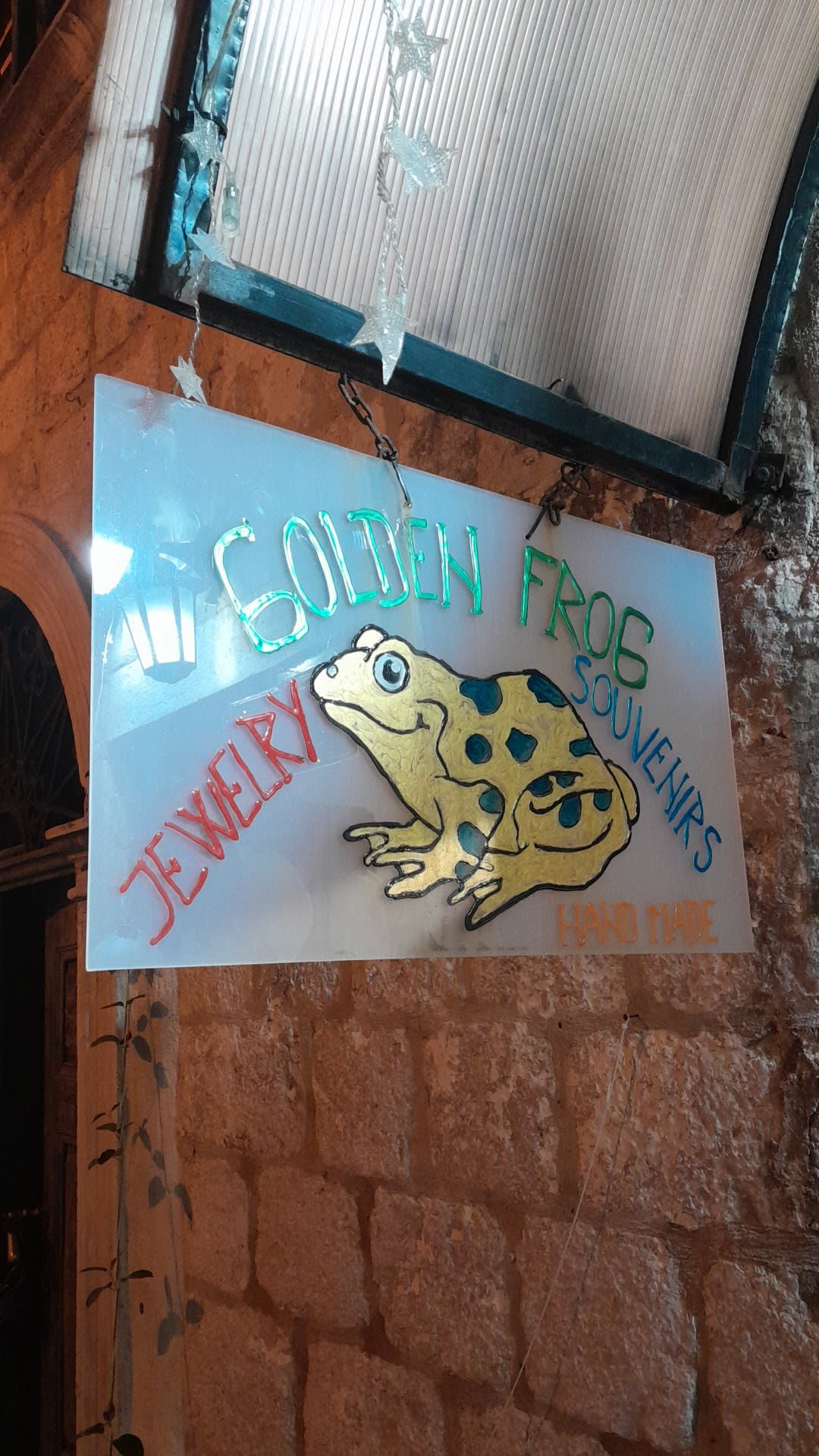 Golden Frog photo 3