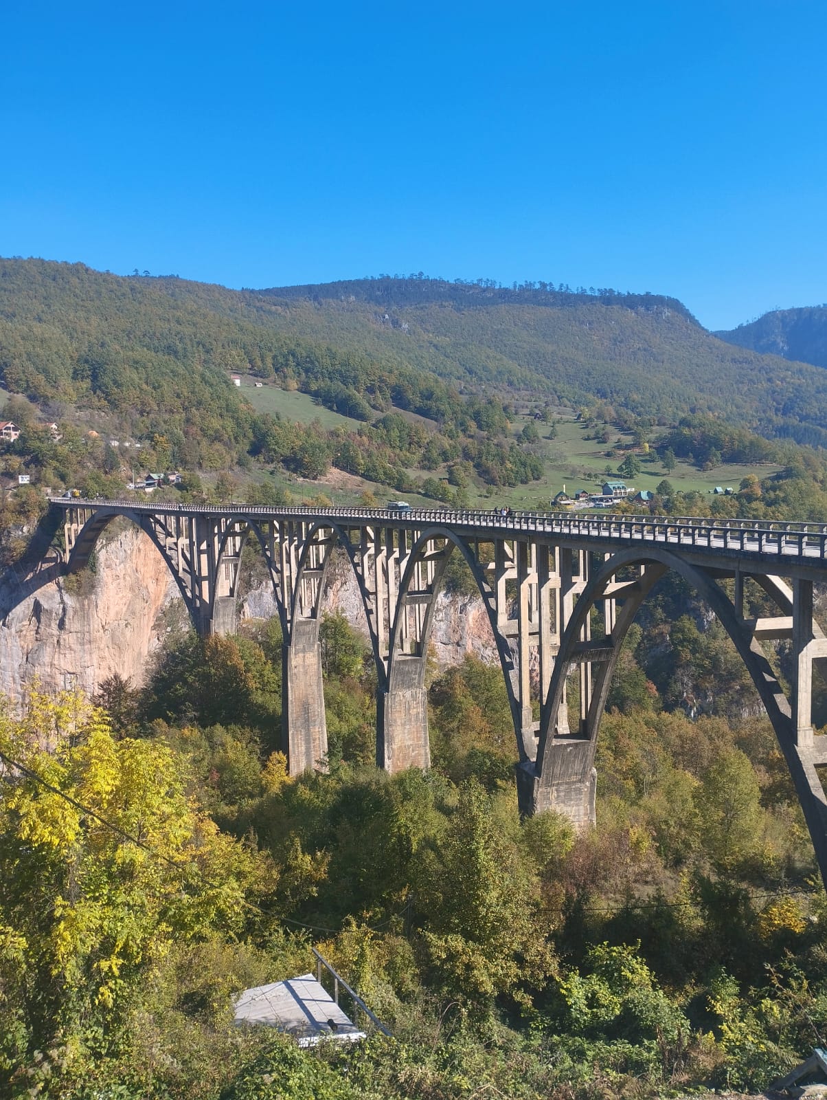 Kotor taxi Igor photo 5