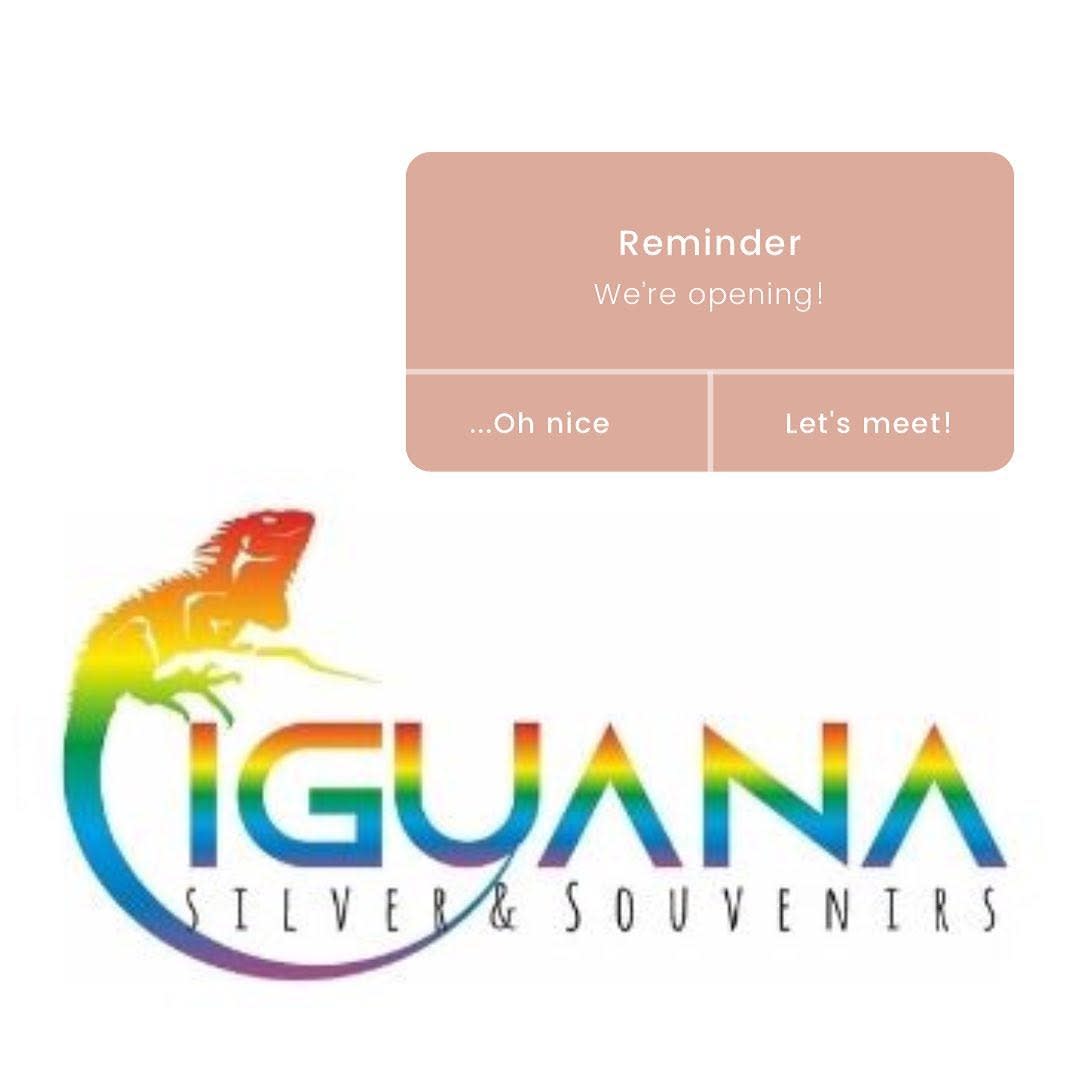 Iguana Souvenirs photo 6