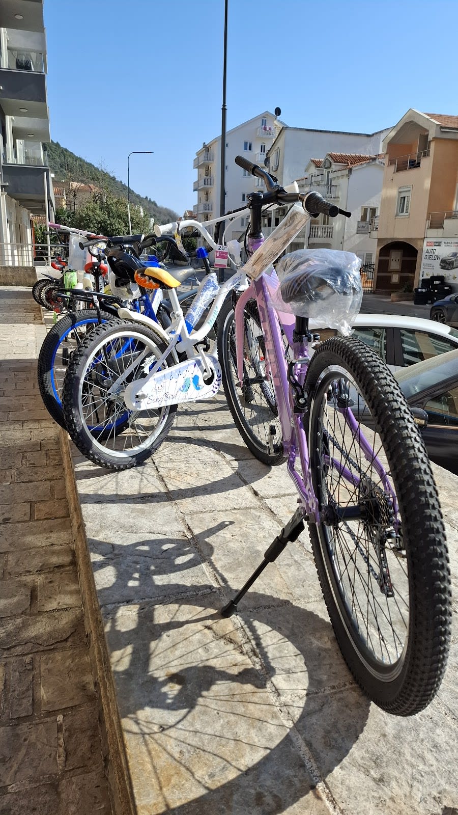 Kale Bike 2 photo 9