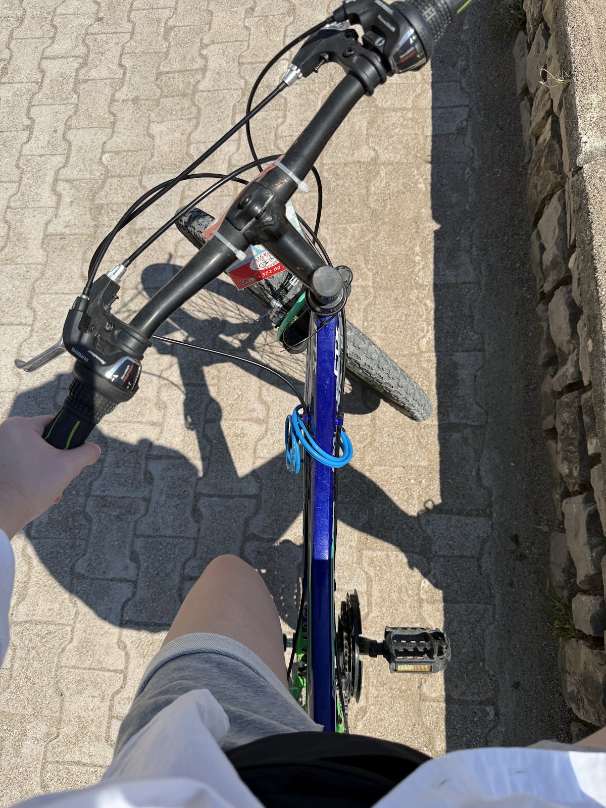 Bicycle for Rent photo 6